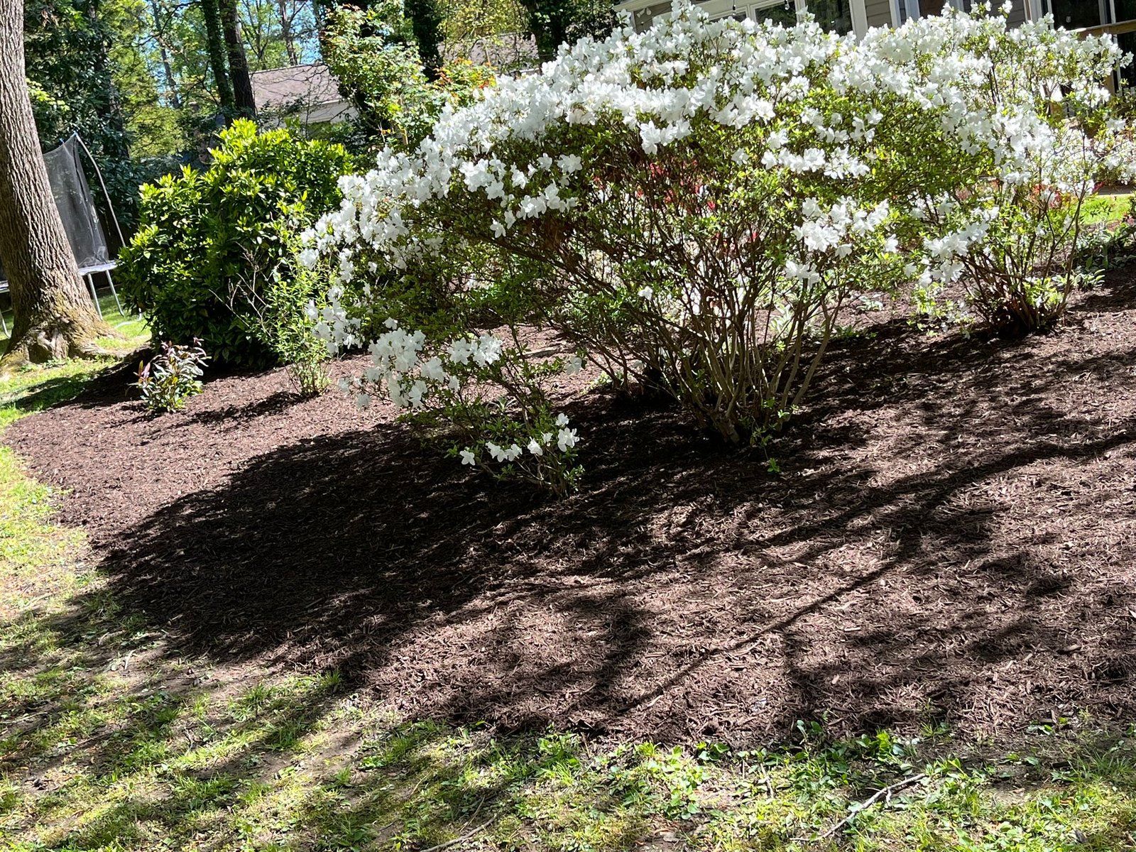 SALAZAR A LANDSCAPER (127)