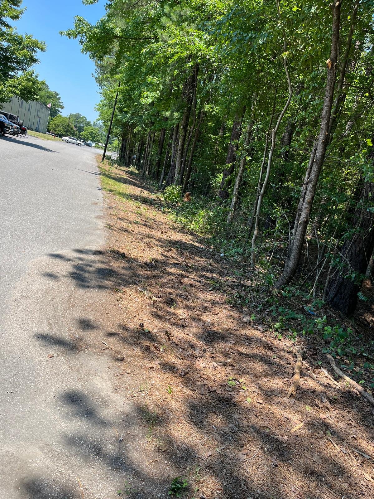 SALAZAR A LANDSCAPER (139)