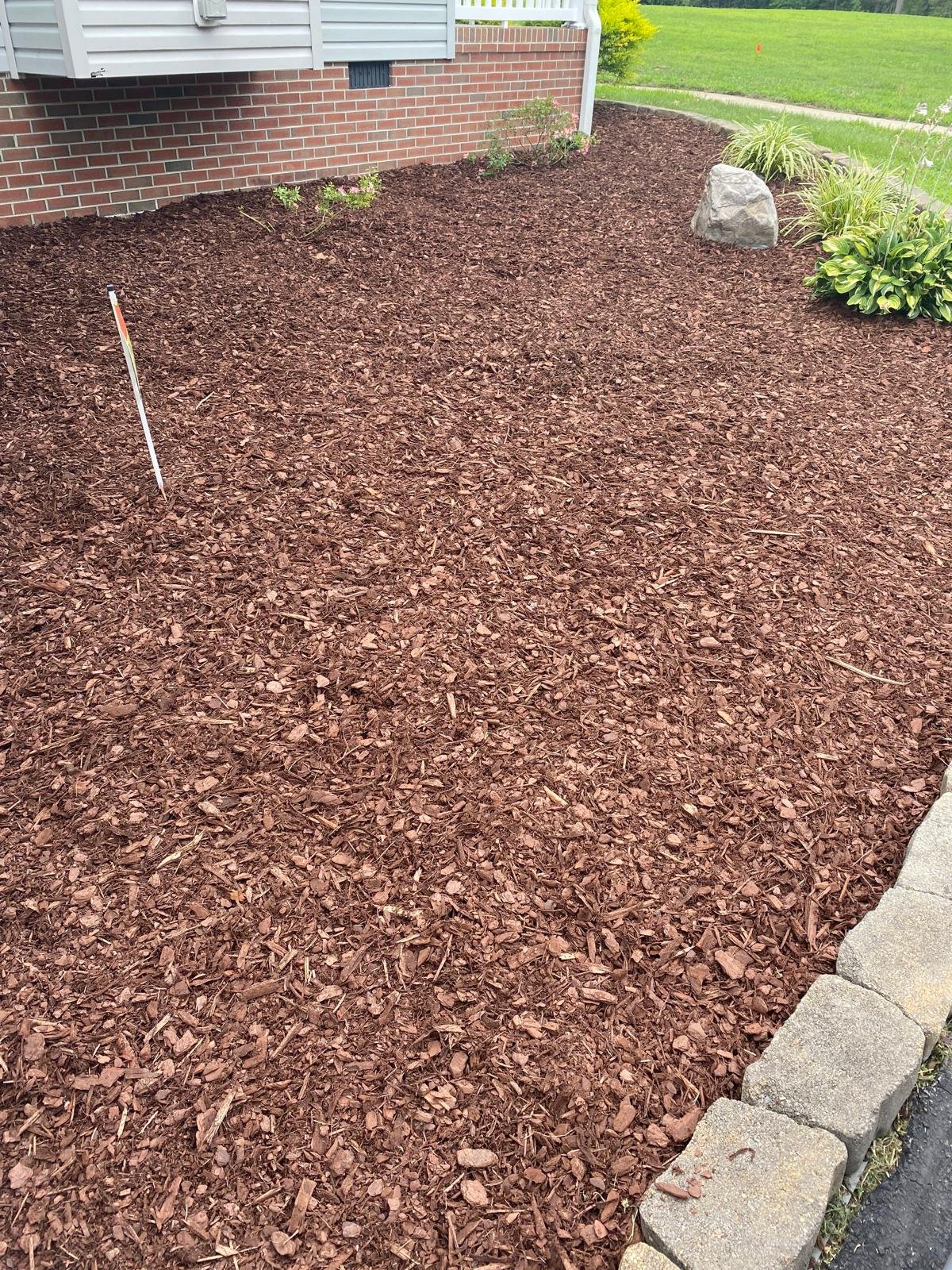 SALAZAR A LANDSCAPER (28)