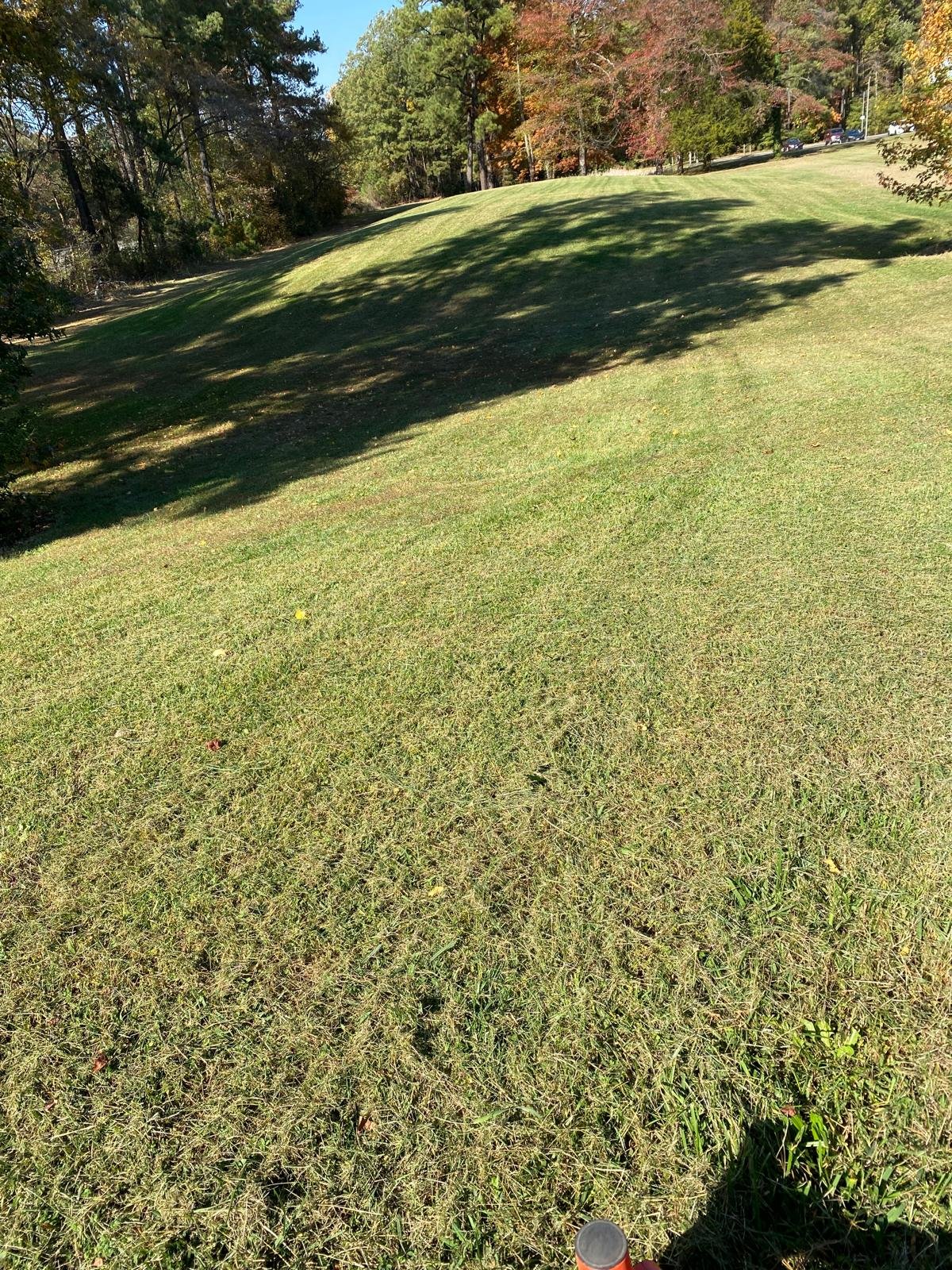 SALAZAR A LANDSCAPER (3)