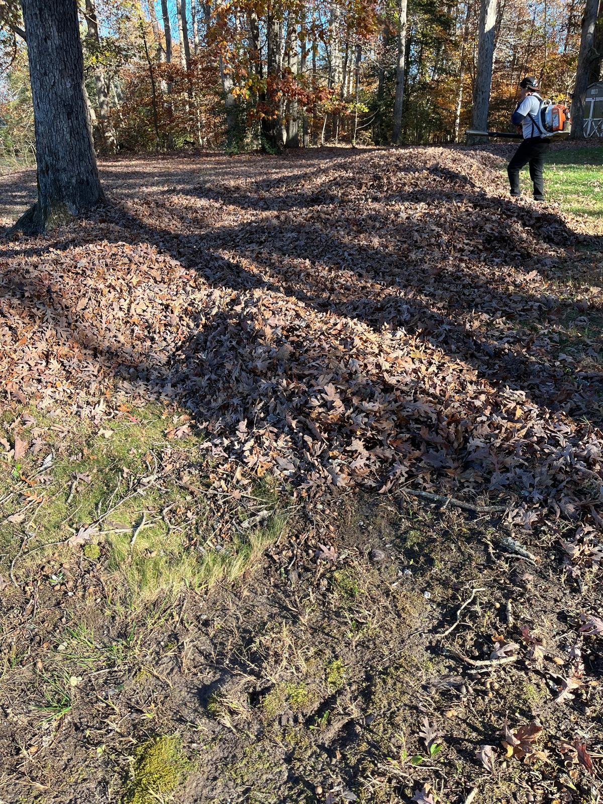 SALAZAR A LANDSCAPER (93)