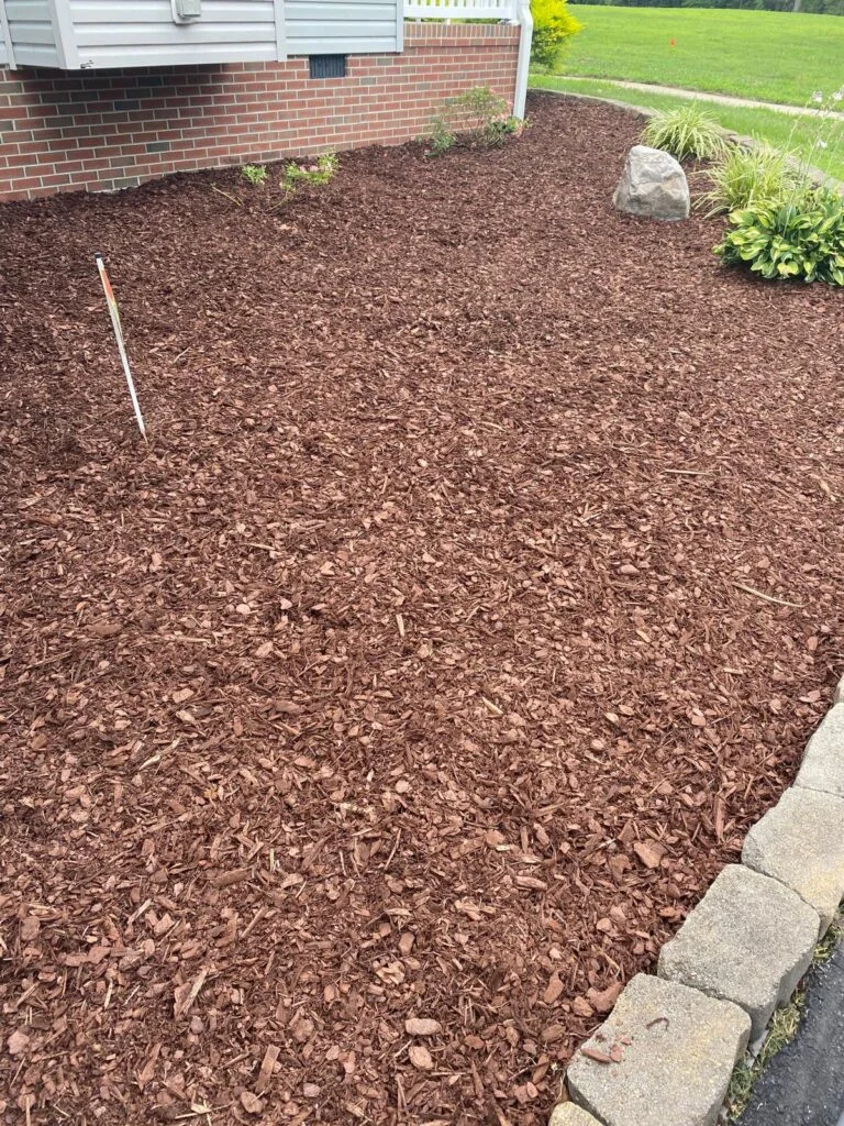 WhatsApp Image 2024 07 01 at 11.49.41 AM 42 768x1024