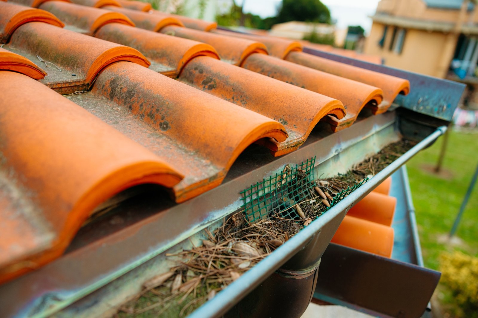 Clogged gutter with dry leaves and pine needles on residential house roof