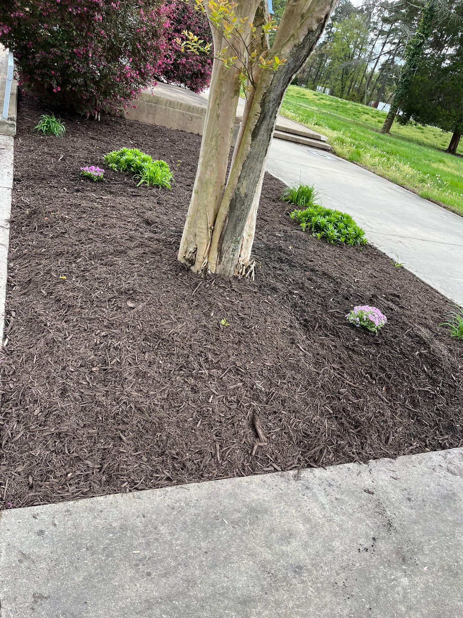 Lawn and landscape service