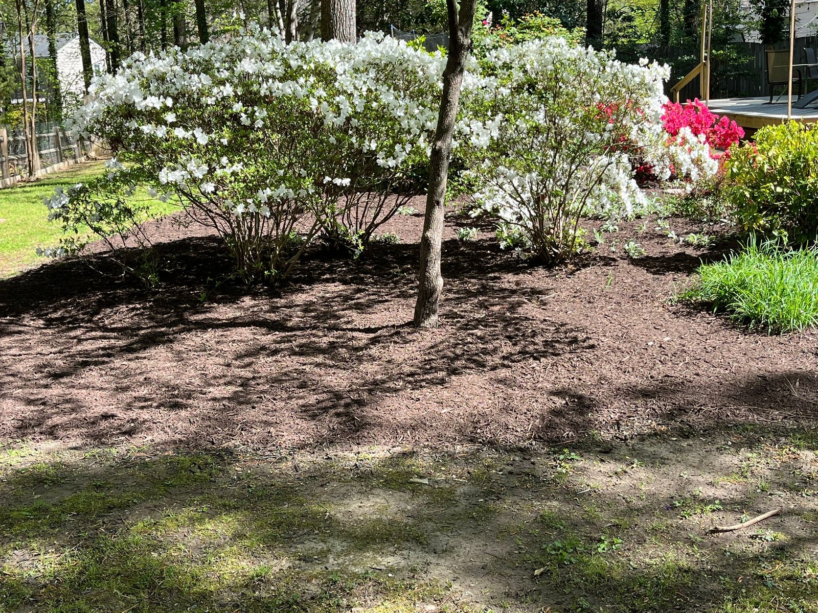 Professional landscaping project by Salazar A Landscaper