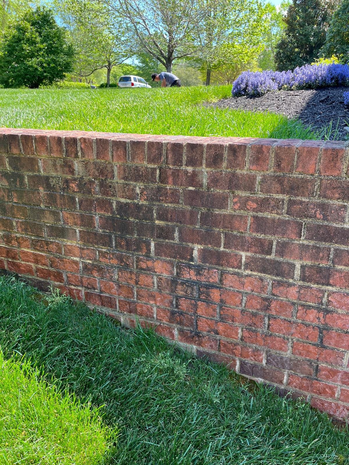 Salazar A Landscaper working on an outdoor project