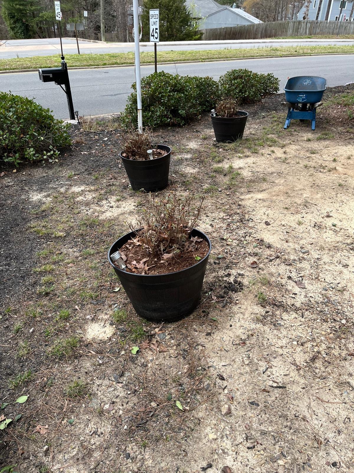 Completed outdoor property work
