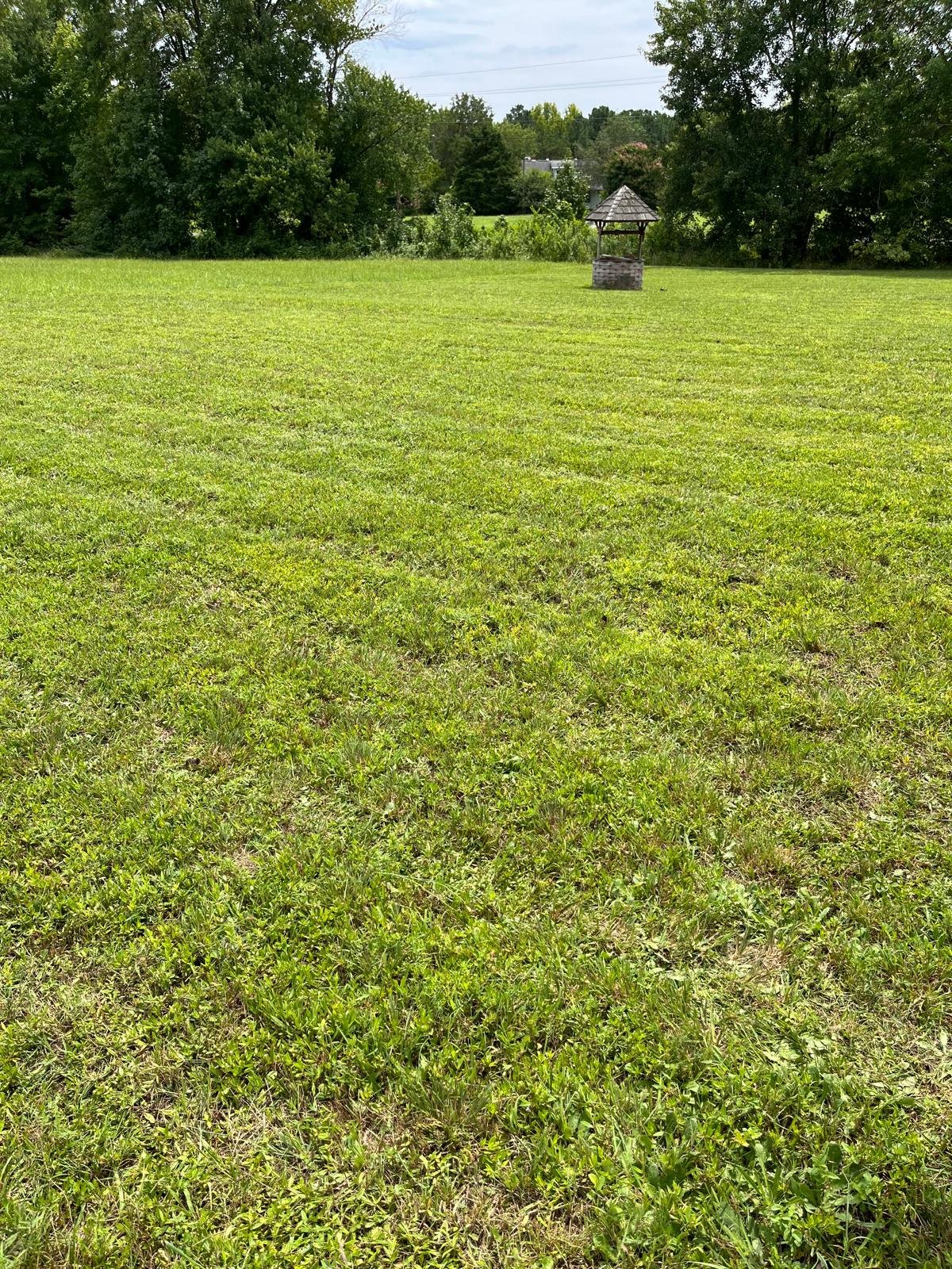 Outdoor maintenance project