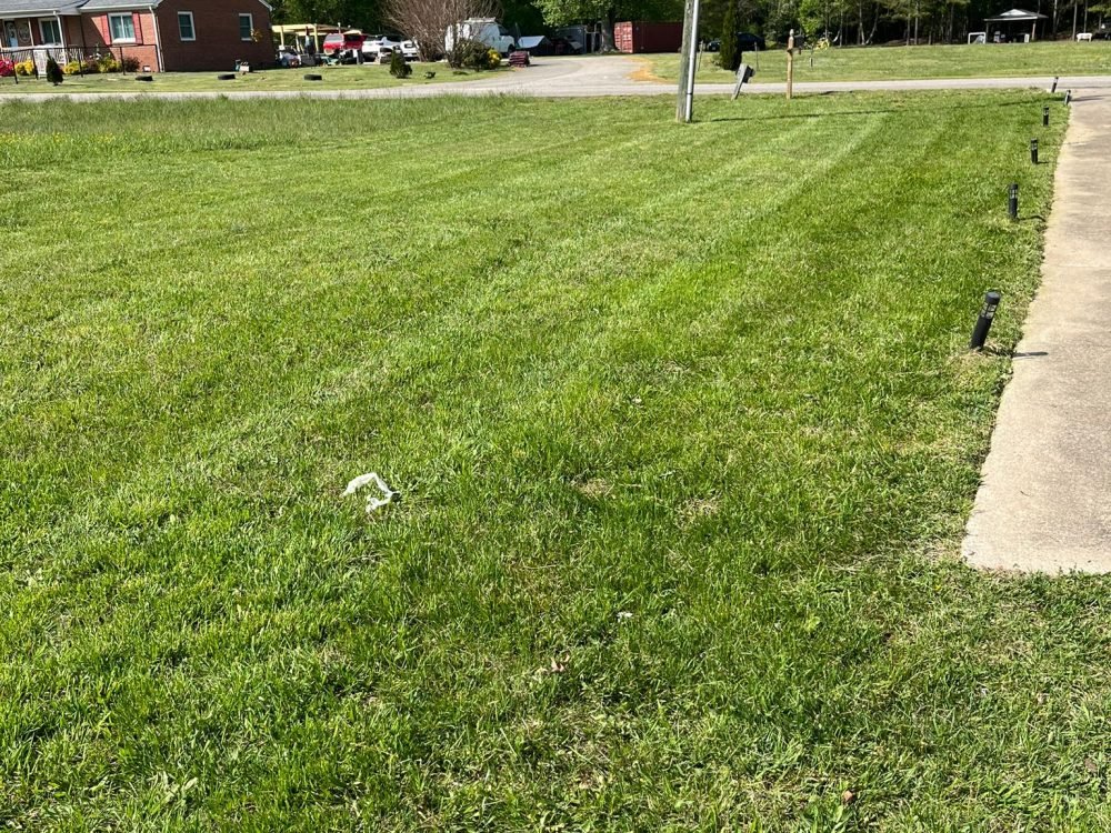 SALAZAR A LANDSCAPER (133)