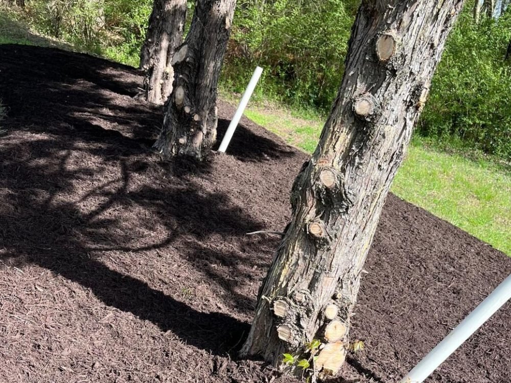 SALAZAR A LANDSCAPER (156)