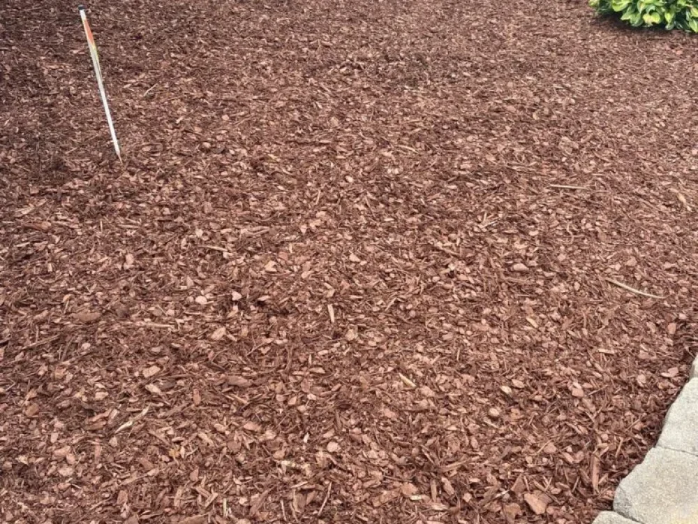 WhatsApp Image 2024 07 01 at 11.49.41 AM 42 768x1024