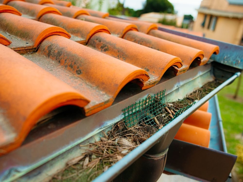 Clogged gutter with dry leaves and pine needles on residential house roof